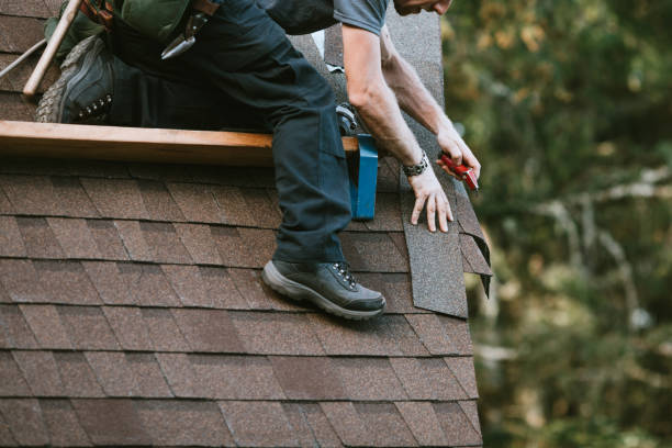 Roof Gutter Cleaning in Shiner, TX